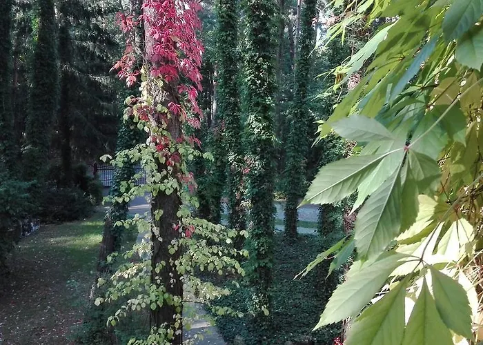 Villa Le Matin